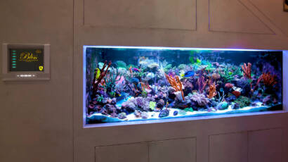 Gallery item